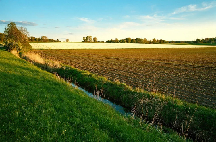 Dansk landbrug udleder for meget ammoniak i forhold til EU's forpligtelser
