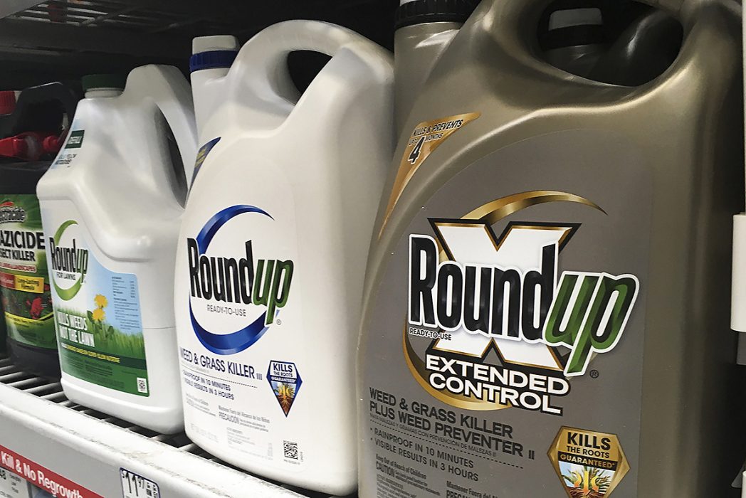 FILE - In this Sunday, Feb. 24, 2019 file photo, containers of Roundup are displayed on a store shelf in San Francisco. A jury in federal court in San Francisco has concluded that Roundup weed killer was a substantial factor in a California man's cancer. The unanimous verdict on Tuesday, March 19, 2019, came in a trial that plaintiffs' attorneys said could help determine the fate of hundreds of similar lawsuits against Roundup's manufacturer, agribusiness giant Monsanto. (AP Photo/Haven Daley, File) Storföretag som Bayer-Monsanto äger en fjärdedel av växtmarknaden för just utsäde och bekämpningsmedel