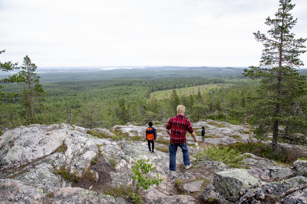 PITEÅ 20190714
Utsikt från berget Kalahatten Pitebygden.
Foto: Helena Landstedt / TT / kod 76091 Utsikt över skog från berget Kalahatten Pitebygden