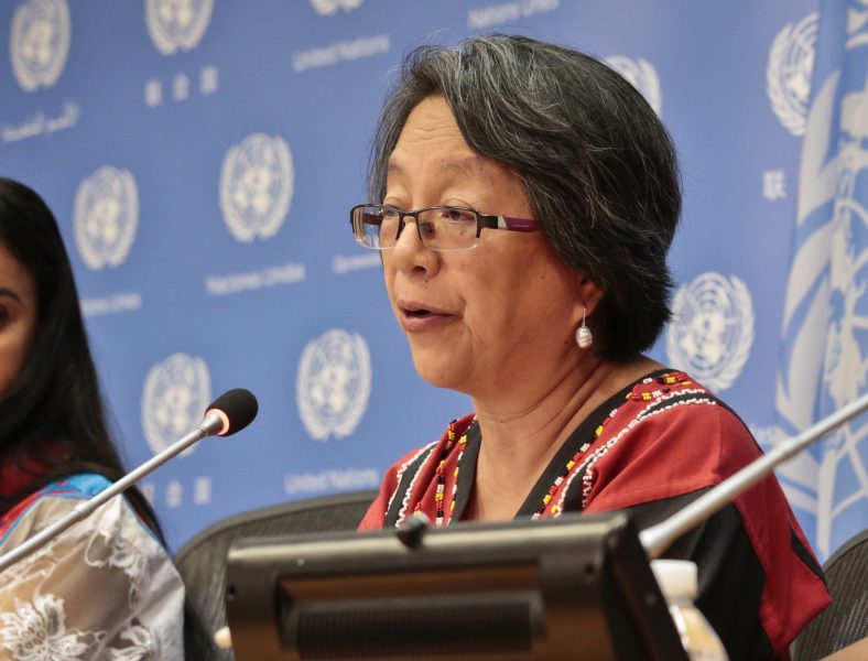 Victoria Tauli-Corpuz, FN:s särskilda rapportör för urfolks rättigheter, påminner om att regeringarna i regionen har internationella skyldigheter att garantera ursprungsbefolkningars rättigheter.
