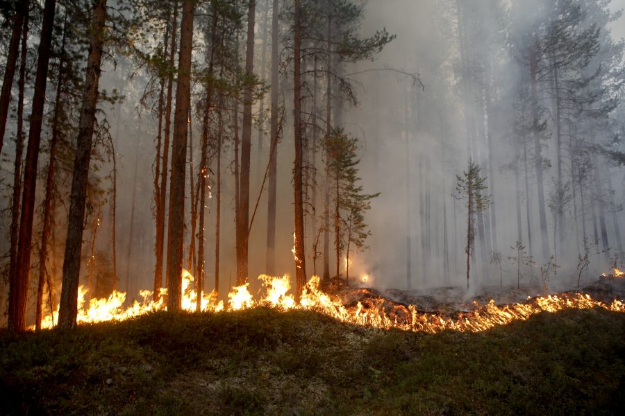 Beredskapen inför sommaren är mycket högre än den var när förra årets skogsbränder härjade i Sverige.