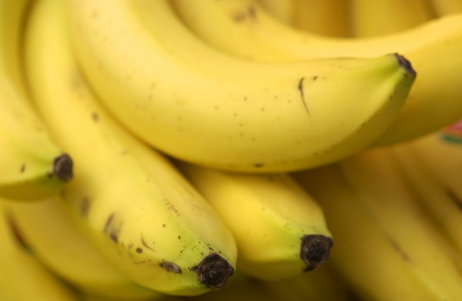 Oekologiska bananer har börjat säljas i butikerna igen.