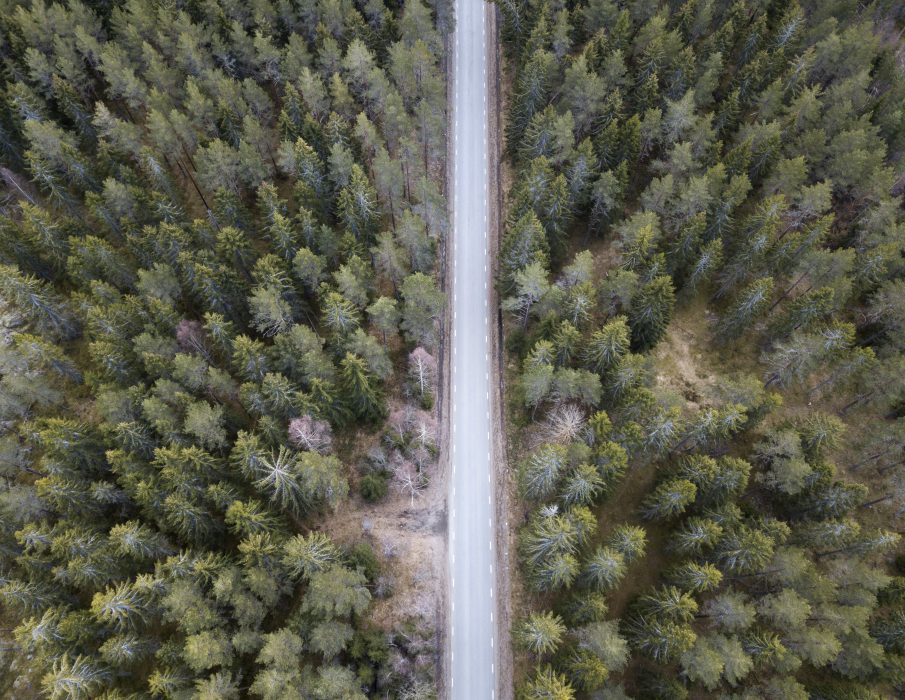 MORGONGÅVA 20190411
En landsväg mellan granarna i en skog i norra Uppland.
Foto: Fredrik Sandberg / TT / kod 10080 Kan vi hitta en väg till ett mer hållbart samhälle? Det är den grundläggande frågan i Omställningslabbet
