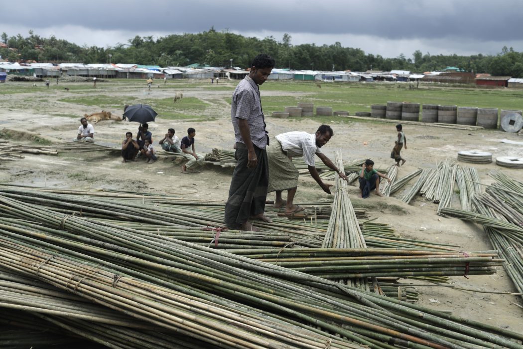 Rohingya refugees collect bundles of bamboo to build houses on Tuesday, June 26, 2018, in Kutupalong refugee camp in Bangladesh. (AP Photo/Wong Maye-E) Rohingyer i Bangladesh samlar ihop bambu som ska användas för att bygga hus i flyktinglägret Kutupalong