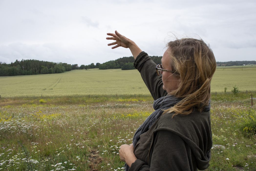 Jenny Salmson visar runt i deras planerade drömträdgård där det så småningom ska finnas bäddar med snittblommor, små dammar, stora skogsträdgårdar, en plantskola och en bar med solstolar
