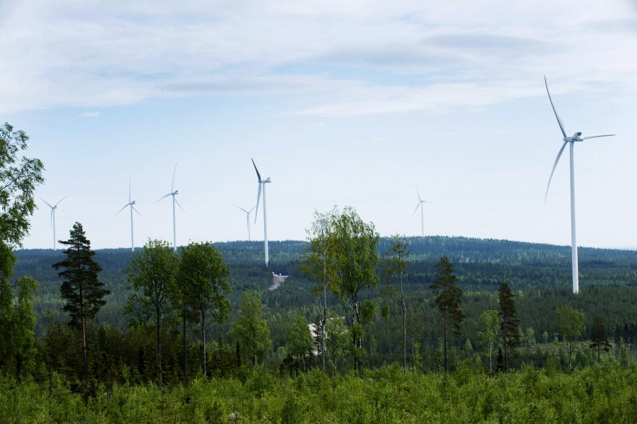 En ny vindkraftpark i Östersjön ska hjälpa Tyskland i sin gröna omställning.