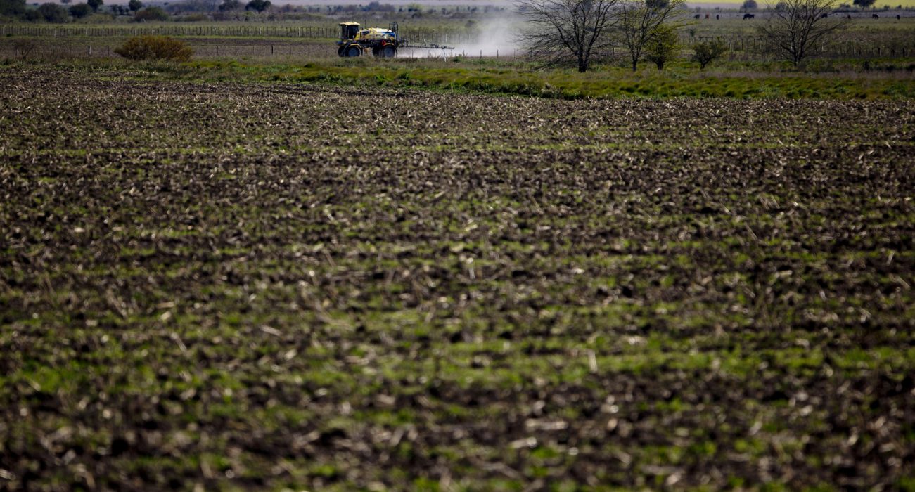 ADVANCE FOR MONDAY, OCT. 21, 2013, AND THEREAFTER - In this Sept. 24, 2013, photo, a tractor known as a "mosquito" dusts a field near Parana, in the Entre Rios province, Argentina. Most provinces forbid spraying next to homes and schools, ranging in distance from 50 meters to as much as several kilometers from populated areas. But The Associated Press found many cases of soybeans planted only a few feet from homes and schools, and of chemicals mixed and loaded onto tractors inside residential neighborhoods. (AP Photo/Natacha Pisarenko) Jordbruksindustrin har med tiden blivit allt viktigare för den argentinska ekonomin och under första halvåret förra året stod exporten av sojabönor och majs bakom en tredjedel av landets totala exportintäkter