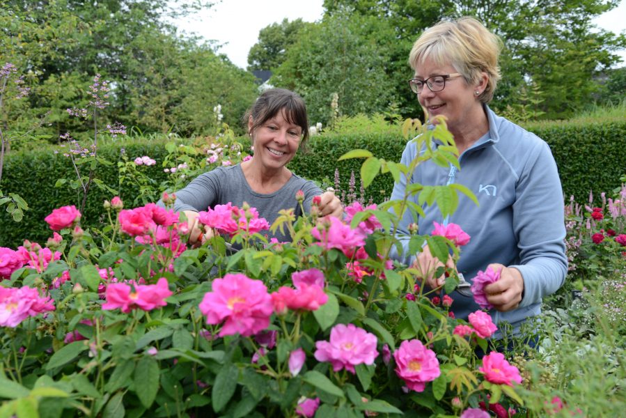 Trädgårdsmästarna Maria Nilsson och Anette Cato driver Den engelska trädgården på Svabesholm i Skåne.