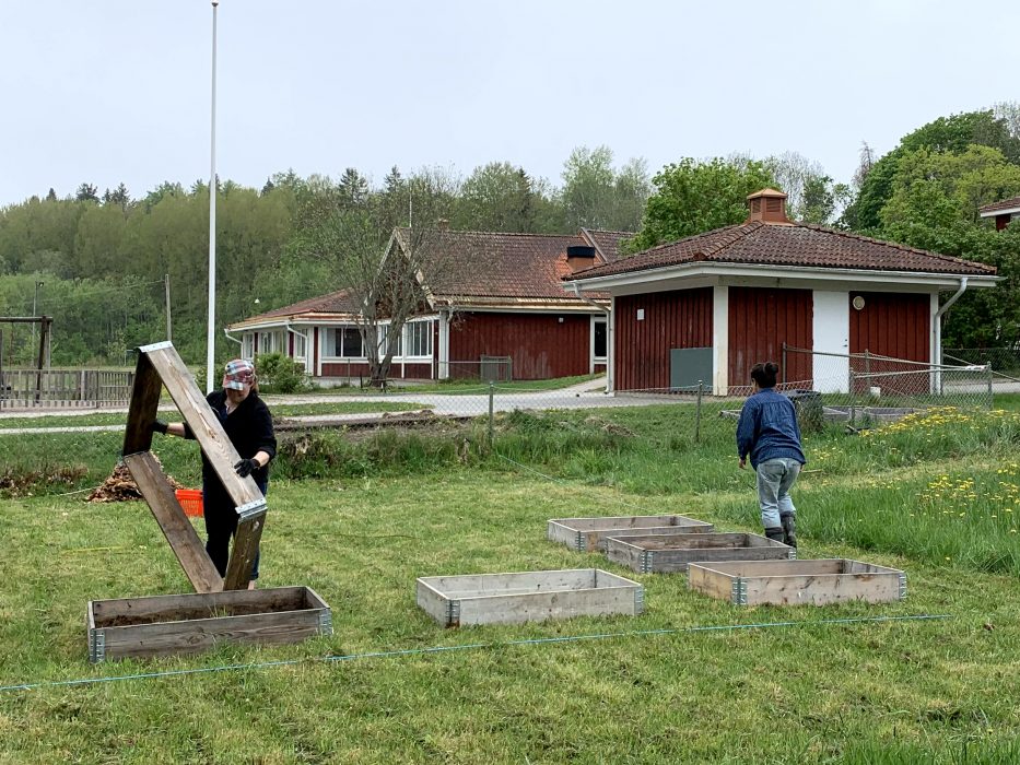 Att skapa en naturlig mötesplats genom att odla mitt i byn är ett konkret exempel på hur det med små medel går att öka byars motståndskraft och öka livsmedelsberedskapen