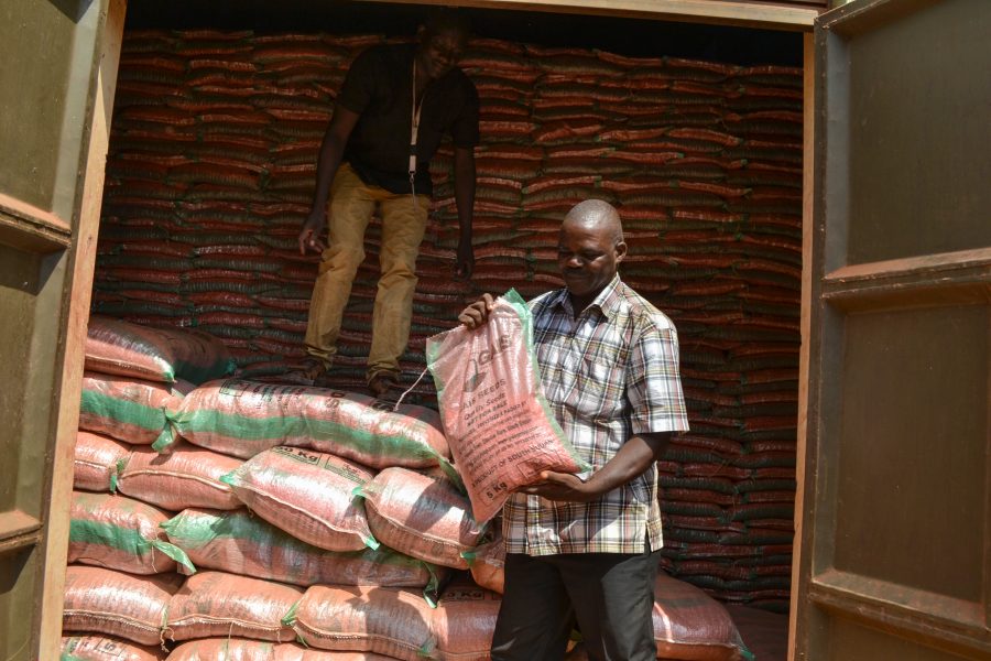 Antony Ezekiel Ndukpo håller upp en säck med förädlade majsfröer som producerats i delstaten Gbudue, där han och andra lokala småbönder fått möjlighet att odla grödor som är mer tåliga mot torka.