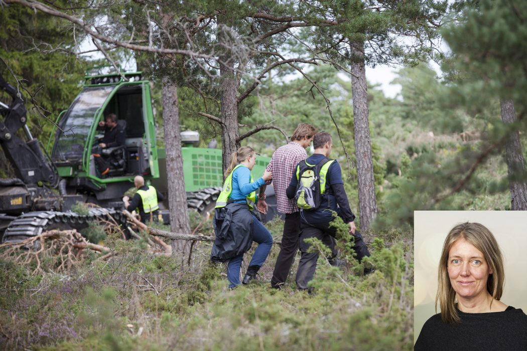 BUNGE 20120828
En demostrant fˆrs bort av polisen medan skogsskˆradren kˆr p i Ojnareskogen.
I dag inleddes den omstridda avverkningen och en stor polisinsats ska hindra demonstranterna som fˆrsˆker stoppa kalkbrytningen i Ojareskogen
Foto: Karl Melander / SCANPIX kod 75135 En demonstrant förs bort av polis under protesterna mot skogsavverkningen och den planerade kalkbrytningen i Ojnareskogen 2012