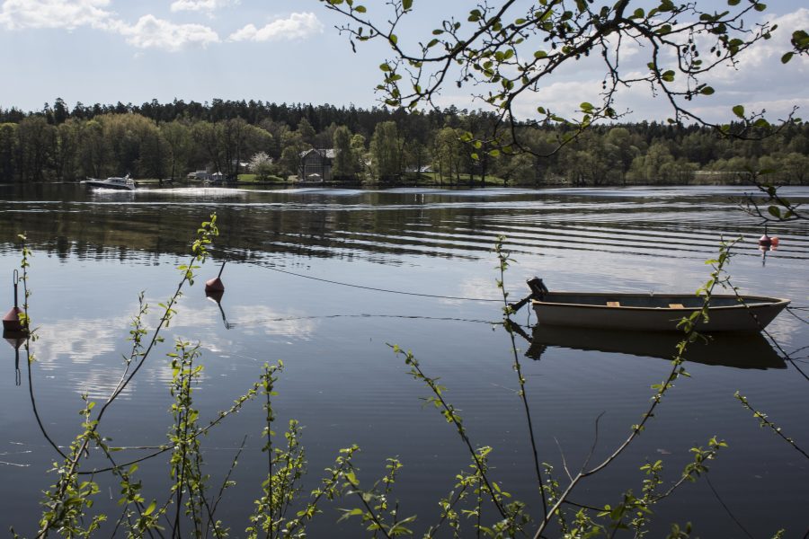 Ungefär hälften av svenskarna får sitt vatten från sjöar, som Mälaren för stockholmarna.