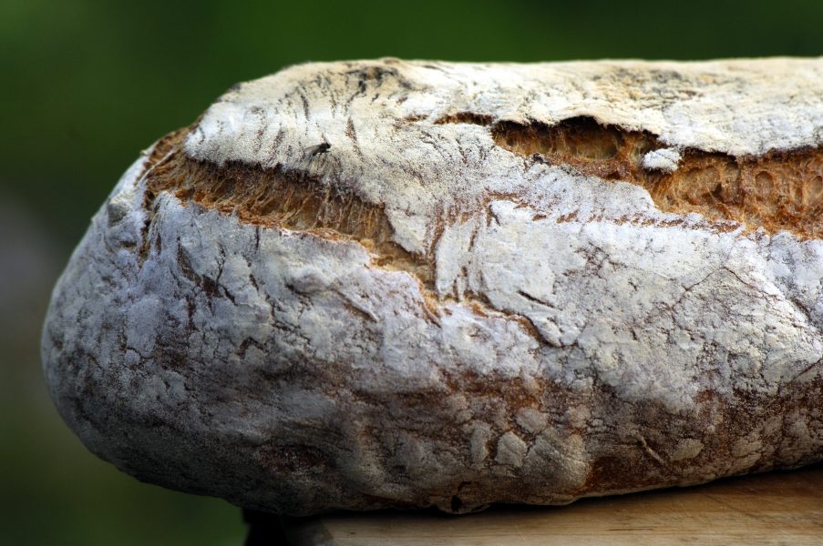 Varje år slängs 80 000 ton bröd i Sverige, vilket är lika med 350 limpor bröd per minut.