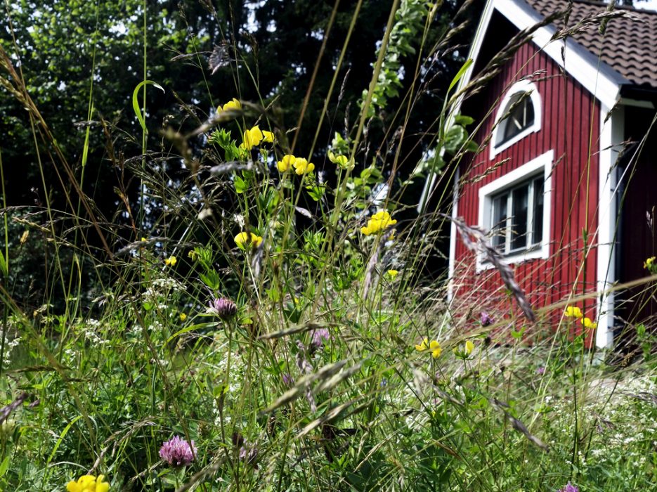 "Genom att lära oss hur man historiskt har använt naturen kan vi rädda en hotad mångfald av allt från vackra ängsblommor till kvittrande fåglar och pollinerande fjärilar och humlor", säger Calle Bergil