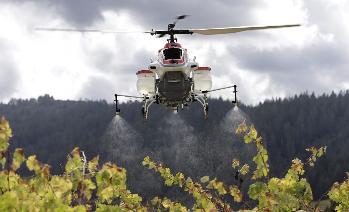 File - In this Oct. 15, 2014, file photo, a drone called the RMAX, a remotely piloted helicopter, sprays water over grapevines during a demonstration of it's aerial application capabilities at the University of California, Davis' Oakville Station test vineyard in Oakville, Calif. The drone large enough to carry tanks of fertilizers and pesticides has won rare approval from federal authorities to spray crops in the United States, officials said Tuesday, May 5, 2015. (AP Photo/Rich Pedroncelli, File) Forskare vid Lunds universitet och Sveriges lantbruksuniversitet, SLU har visat att bin påverkas negativt av neonikotinoider och relativt nyligen har forskare på SLU konstaterat att humlor och solitärbin påverkas mycket mer negativt av neonikotinoider än honungsbin