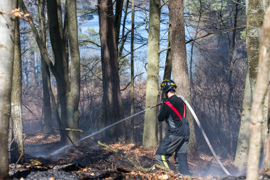 En av de skogsbränder som härjade under måndagen, i detta fall i trakterna av Bökestadsnäs vid sjön Raslången i Kristianstad kommun.