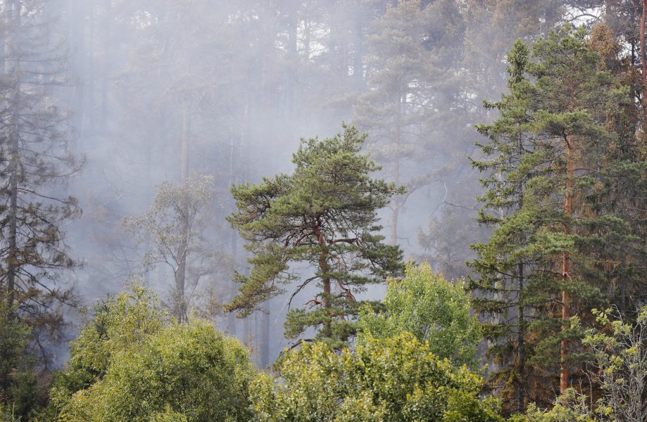 Den ökade rapporteringen om klimatet sammanfaller med en rekordvarm sommar med skogsbränder.
