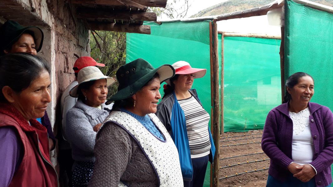  I byn står flera kvinnor bredvid växthuset som de just byggt på marken som tillhör en av dem, i distriktet Cusipata, över 3 300 meter över havet i Cuzco, Peru.