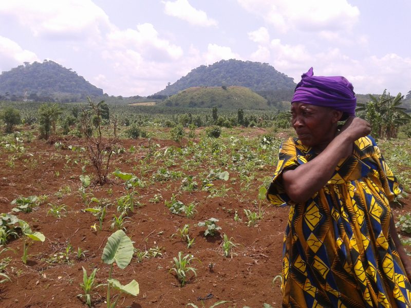Ndomi Magareth odlar bönor på sina marker utanför den lilla staden Njombe i Kamerun.
