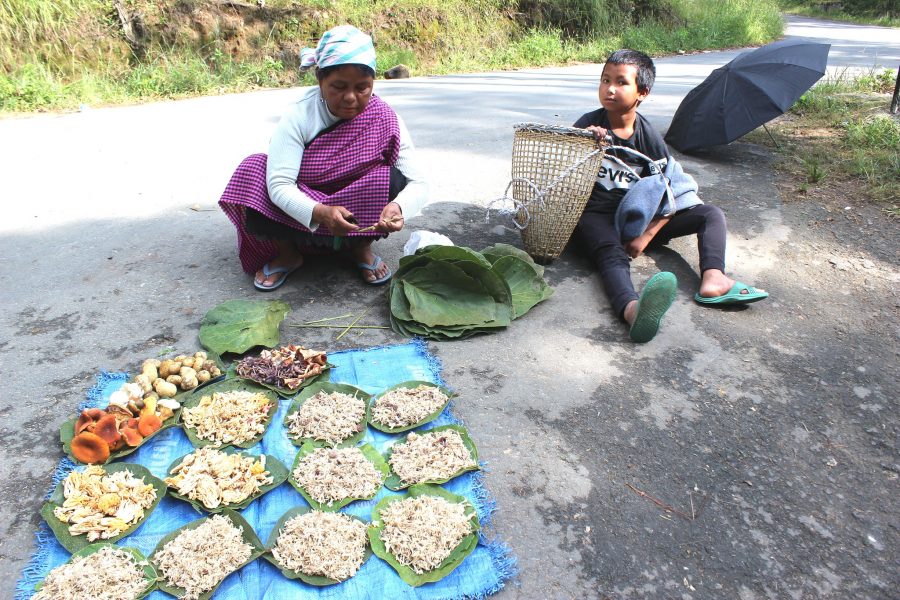 Phlida Kharshala säljer svamp tillsammans med sitt åttaåriga barnbarn i staden Shillong i nordöstra Indien.