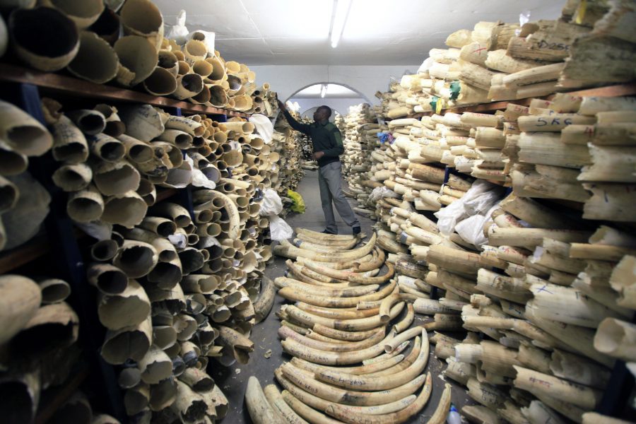 Svenska turister fortsätter att handla med illegala varor som exempelvis elfenben, visar en ny kartläggning av Kantar Sifo gjord på uppdrag av Världsnaturfonden, WWF.