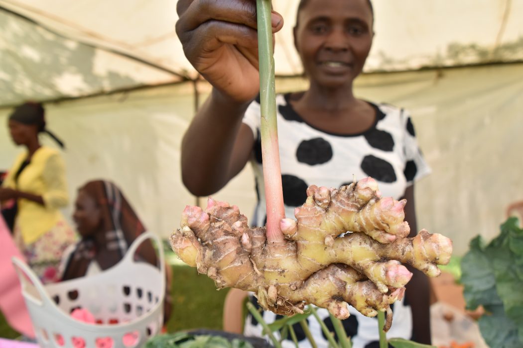Hungerprojektet försöker få kvinnor att bli mer ekonomiskt självständiga, bland annat genom att tänka mer långsiktigt och sälja sina jordbruksprodukter på marknaden
