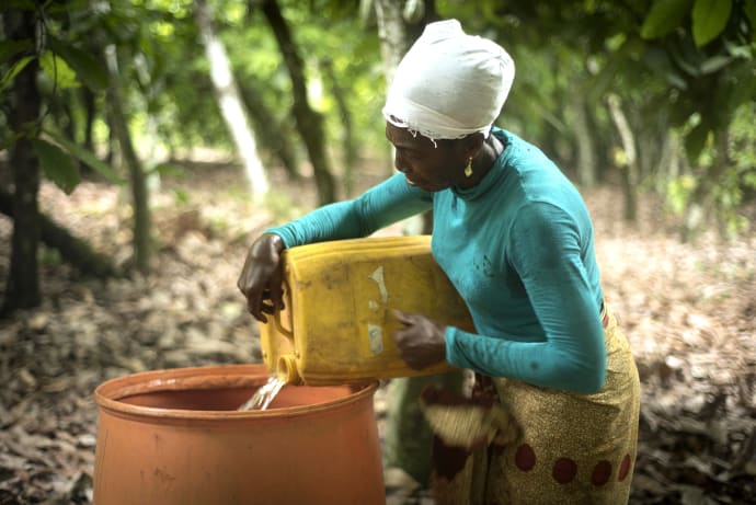 För Beatrice Boakye, Fairtrade-certifierad kakaoodlare i Ghana, är klimatförändringarna en stor utmaning.