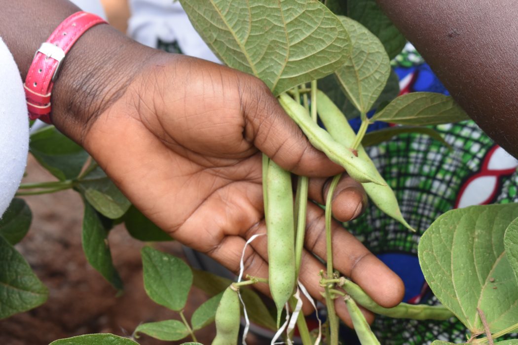 Många familjer i Uganda lever på ett mål mat om dagen