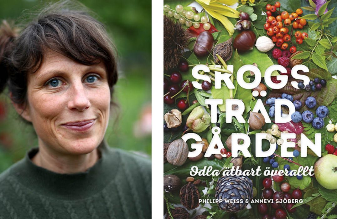 Annevi Sjöberg berättar om skogsträdgårdar på Örebro stadsbibliotek