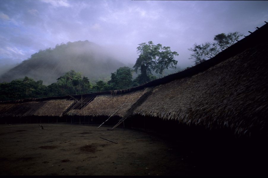 De bergiga skogarna i ursprungsreservatet Yanomami i Amazonas är ett populärt tillhåll för olagliga guldgrävare.