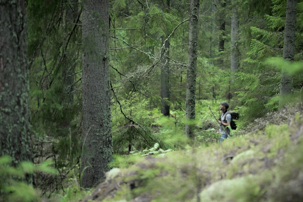 Det finns flera studier som pekar mot att kontakt med naturen kan vara väldigt viktig för människors vilja att engagera sig i miljö- och klimatrelaterade frågor