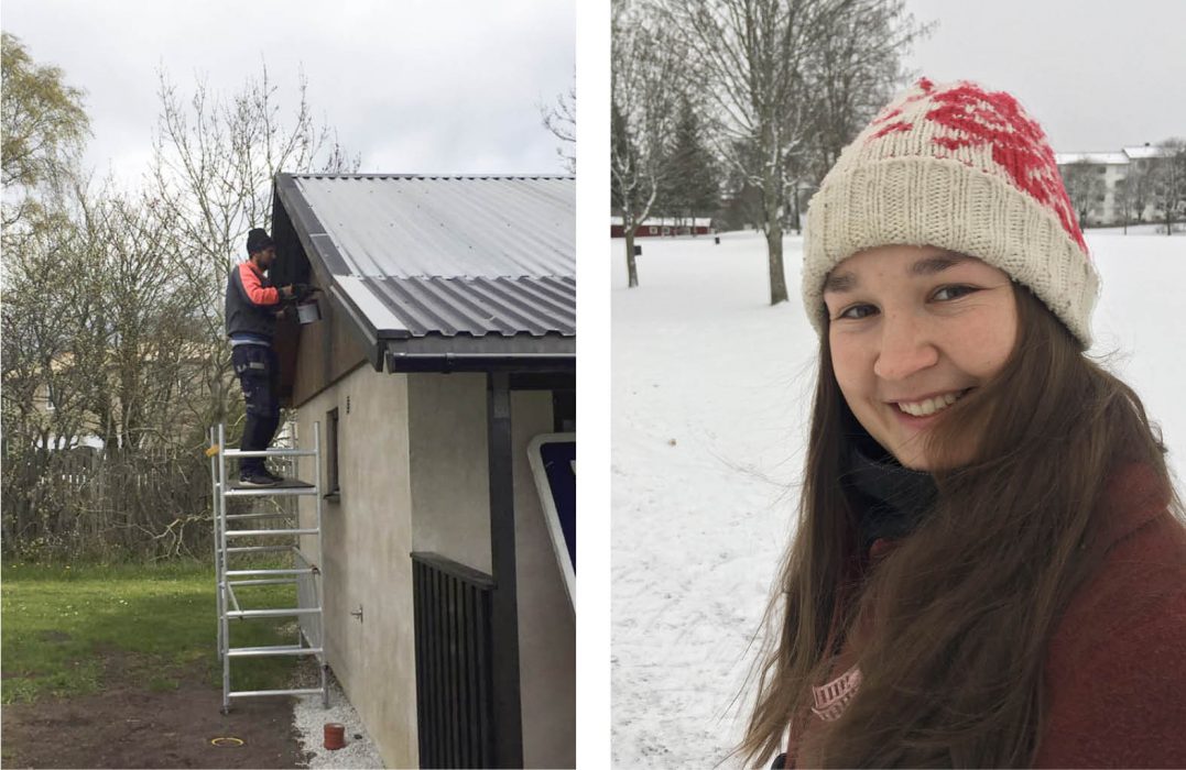 Elin Sjöman har i sitt examensarbete på SLU undersökt hur bygdebolag kan bidra till landsbygdsutveckling
