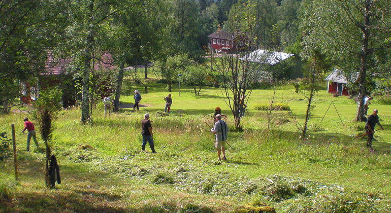 Tures äng i Borlänge kommun är ett av de 23 nybildade naturreservaten i Dalarna.