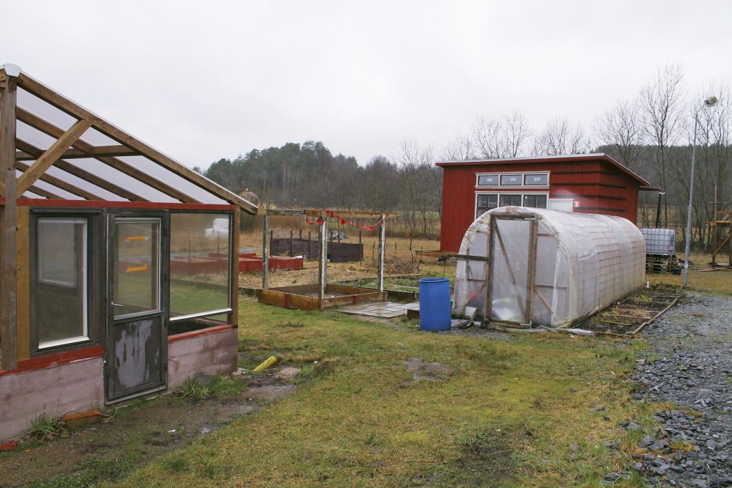 Odlingarna i anslutning till Egnahemsfabriken var inte planerade från början men har vuxit fram med tiden