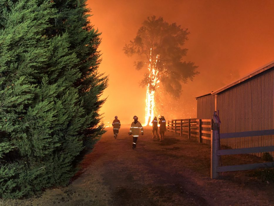 OAKDALE 2019-12-05. Terrängbränderna i delstaten New South Wales i Australien fortsätter med oförminskad kraft. Bilden kommer från Green Wattle Creek nära Oakdale. Naomi Klein talar om att inte glömma klimatkrisen när vi efter coronakrisen ska återgå till det "normala"