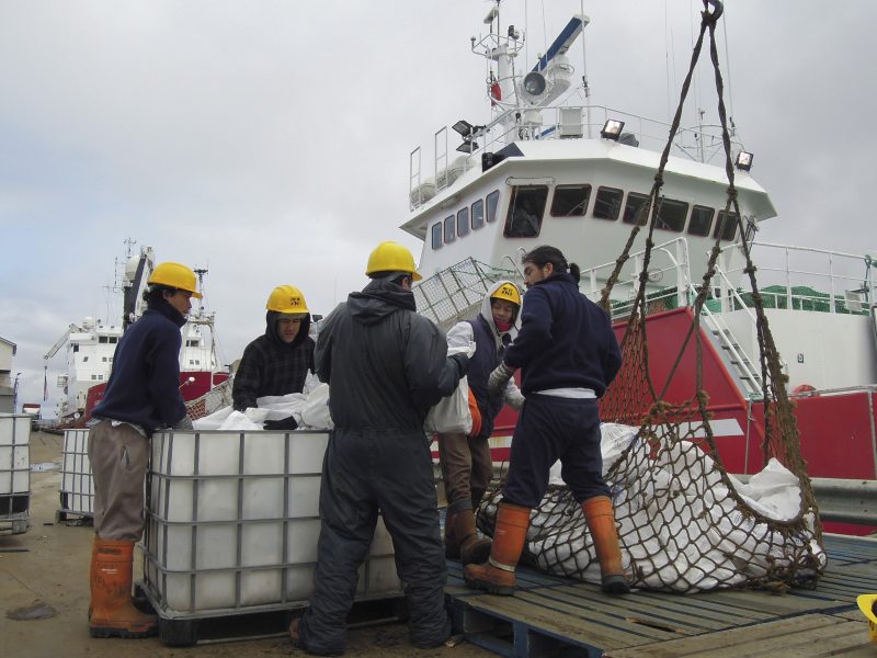 Legala fiskearbetare vid en hamn vid det brittiska territoriet Falklandsöarna utanför Argentina.