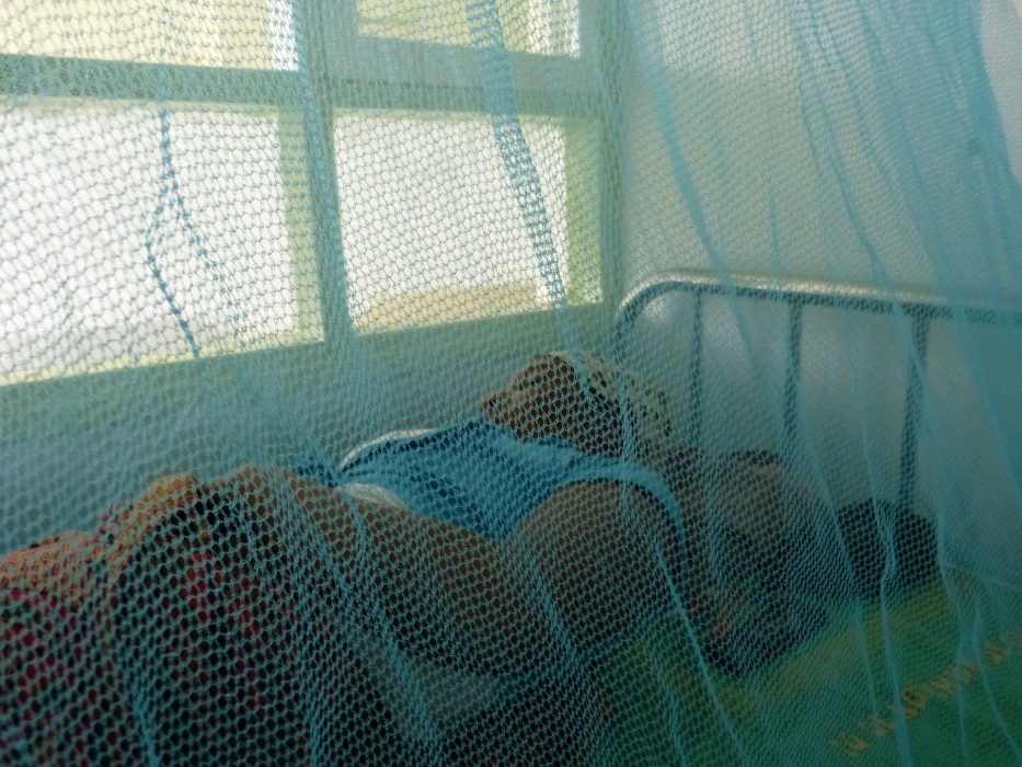 WHO varnar för att antalet dödsfall i malaria riskerar att stiga kraftigt i Afrika om distributionen av myggnät och malariamediciner försvagas på grund av coronakrisen