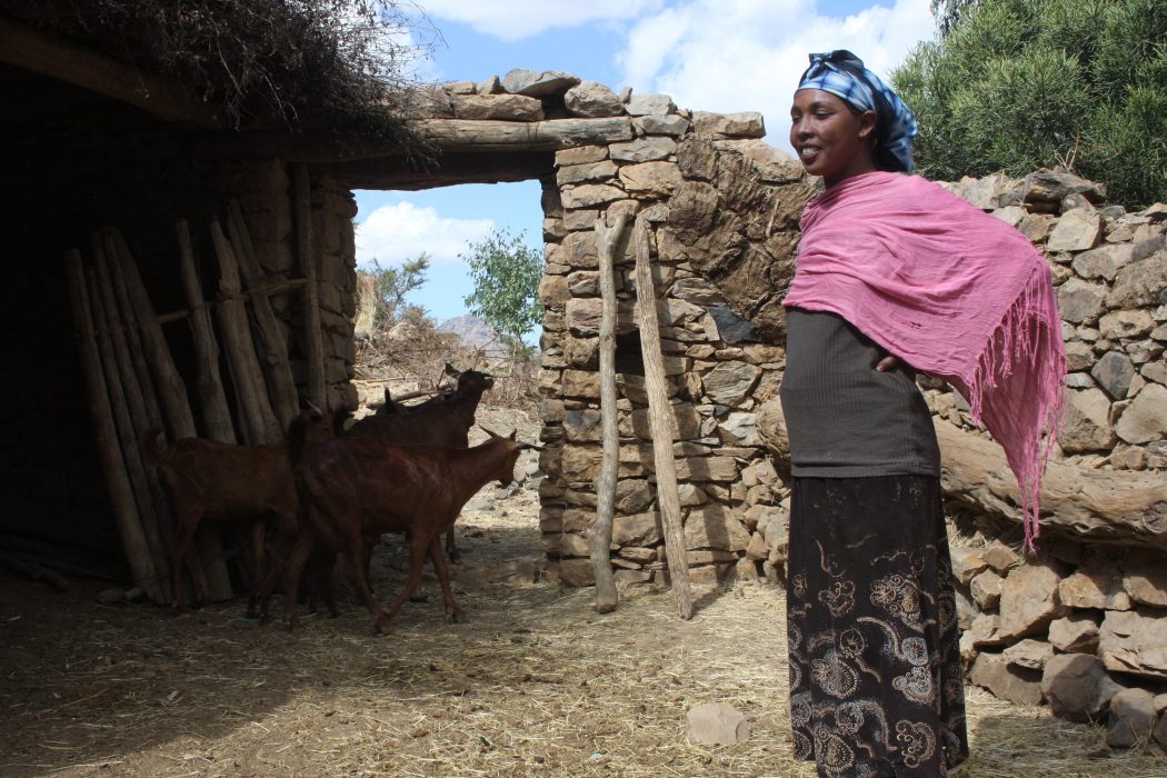En kvinna i regionen Tigray i norra Etiopien