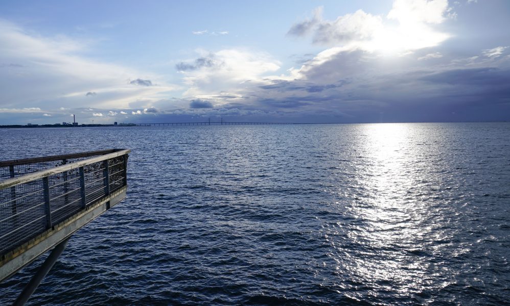 Över 35 miljarder liter orenat avloppsvatten har släppts ut i Öresund från Köpenhamns kommun mellan 2014-2018.