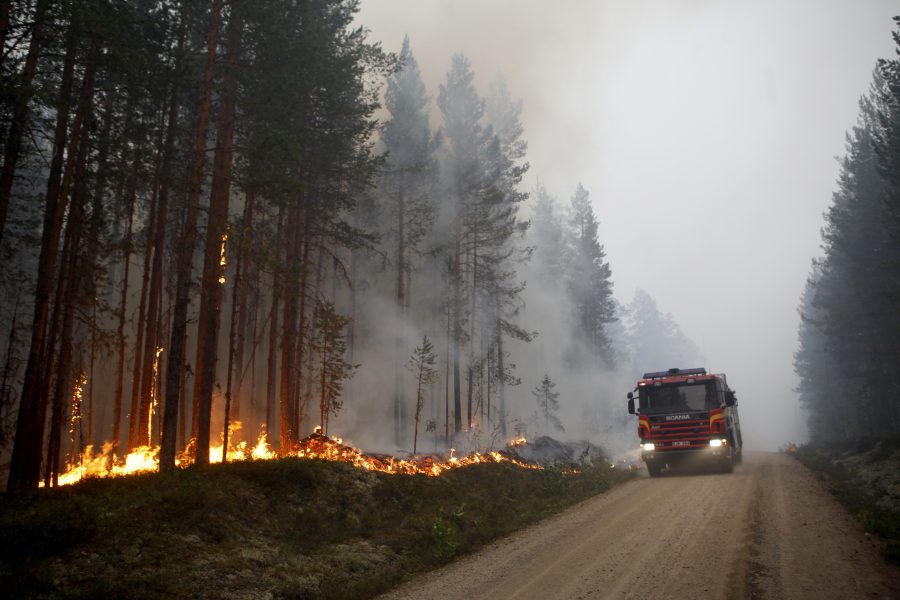 Många lärdomar har dragits sedan skogsbränderna 2018.