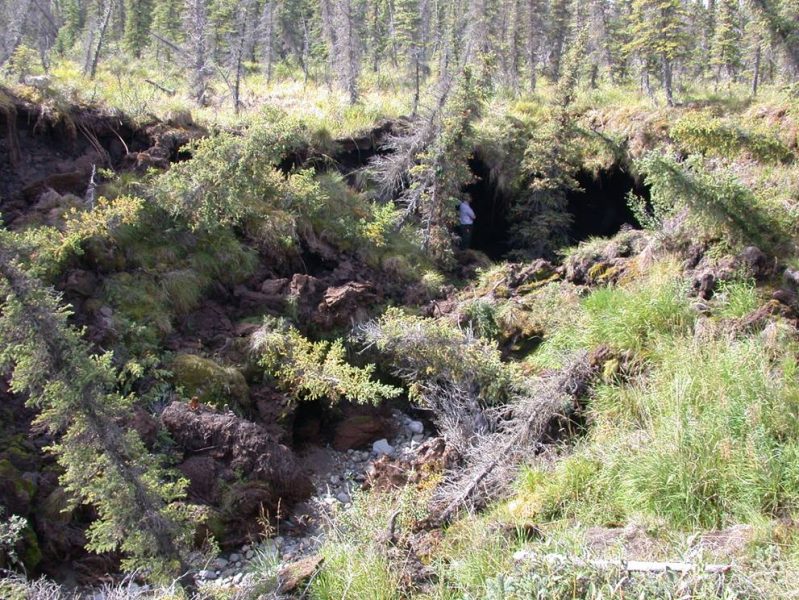 En stor bit av vegetationen på tundran i nordvästra Alaska har rasat ned när permafrosten tinat.