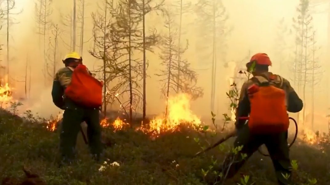 Bilder som släpptes av rysk television förra veckan från regionen Sakha (Yakutia) i östra Ryssland som drabbats hårdast av skogsbränderna.