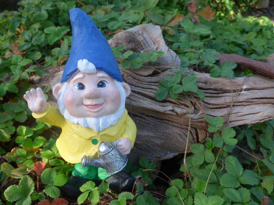 Trädgårdstomten är en vanlig staty i trädgården och har en lång historia (se faktaruta)