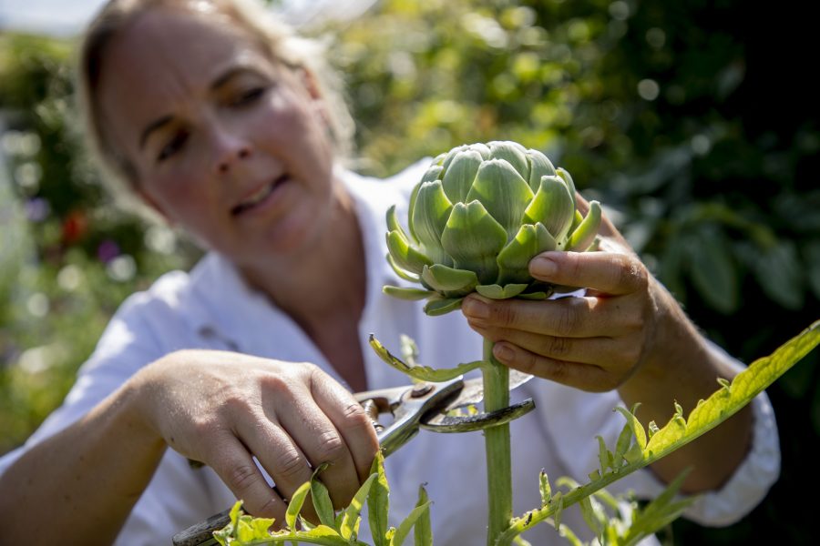 "Köksträdgården är en tillflyktsort som ger massor med energi", säger Karin Ericson.