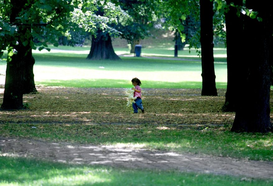 Barn som växer upp med tillgång till grönområden har högre IQ, visar en ny studie.