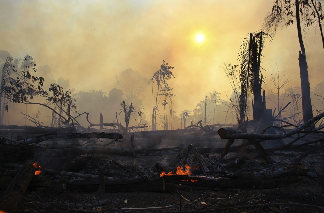 Bränderna under juli ökade med 28 procent i Amazonas jämfört med förra året, enligt Brasiliens rymdforskningsinstitut, INPE