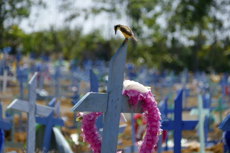 En gravplats för personer som dött i covid-19 i Manaus, Brasilien.