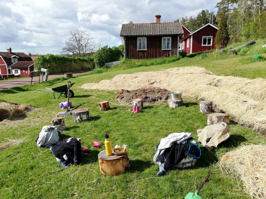 Under det senaste året har Väse Morgongåva varje måndag haft gemensamma odlingsdagar där allmänheten kan komma och hjälpa till med odlingen och dela kunskap med varandra