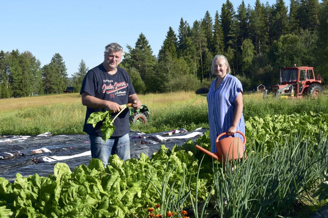 Jonte Fischer och Helen Moström i Stugun öster om Östersund beslutade sig för att ställa om och sänka sitt klimatavtryck– att bli självförsörjande på mat och göra sig fossilfria