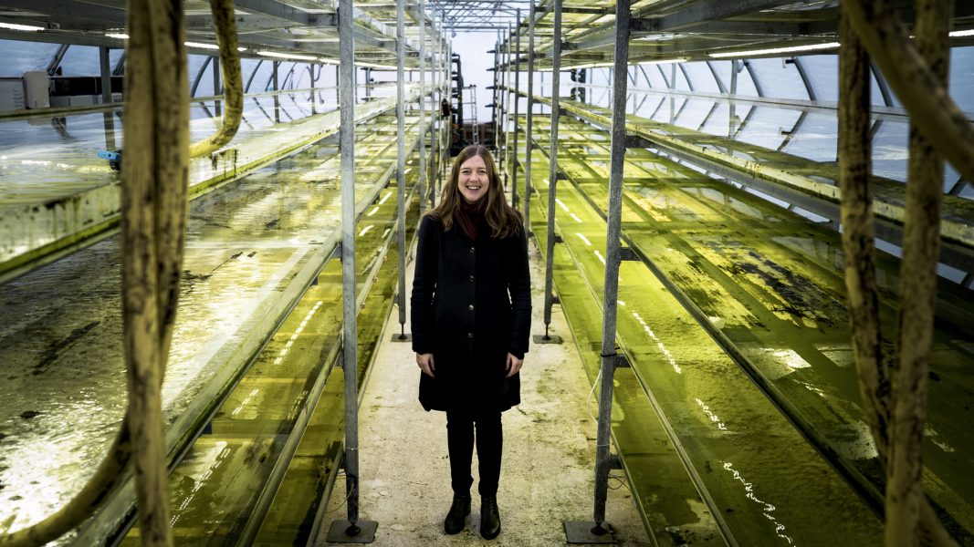 Sofie Allert i företagets pilotanläggning för odling av den speciella kiselalgen.